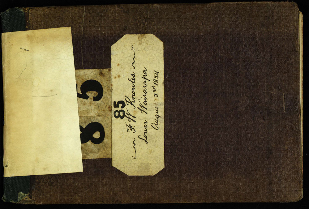 F H Knowles, survey field book [no 85]