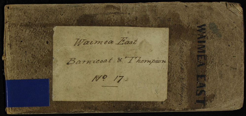 Barnicoat &amp; Thompson, survey field book [no. 17]