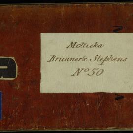 Brunner & Stephens, survey field book [no 50]