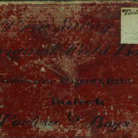Torlesse & Boys, survey field book [no 196]