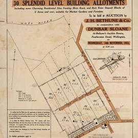 Housing development plan, 1923; Cluny Estate; Fergusson Drive, Whakatiki to Milton Streets