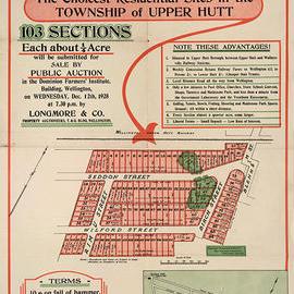 Housing development plan, 1928; Seddon, Wilford, Birch and Lane Streets